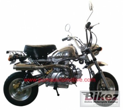 2010 Puma Colibry Le Mans 125 photo